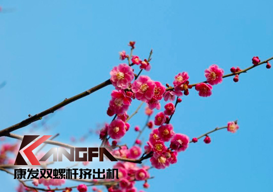 春光明媚,春意盎然！康發(fā)JSH系列雙螺桿造粒機組集中發(fā)貨 