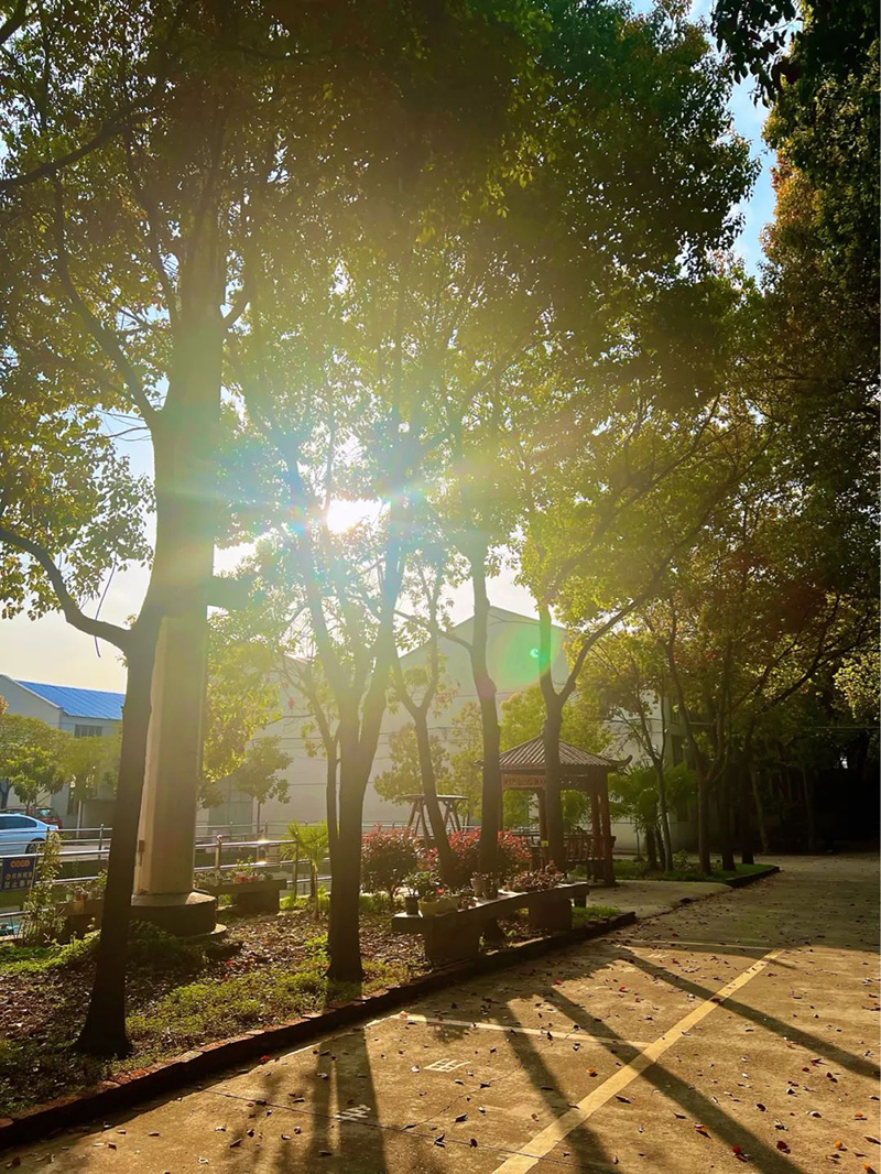 極致的康發(fā)雙螺桿造粒機工匠精神，支撐著在追逐夢想的旅程中穩(wěn)步邁進(jìn)。